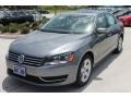 Platinum Gray Metallic - Passat 2.5L SE Photo No. 3