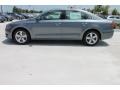 Platinum Gray Metallic - Passat 2.5L SE Photo No. 5