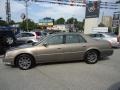 Radiant Bronze - DTS Luxury II Photo No. 9