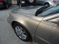 Radiant Bronze - DTS Luxury II Photo No. 49