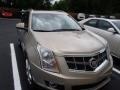 Gold Mist - SRX 4 V6 AWD Photo No. 2