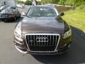 Teak Brown Metallic - Q5 3.2 quattro Photo No. 2