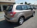 Burnished Bronze Metallic - Forester 2.5i Photo No. 7