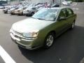 2005 Silver Green Metallic Chevrolet Malibu LT V6 Sedan  photo #3