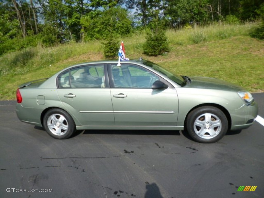 Silver Green Metallic 2005 Chevrolet Malibu LT V6 Sedan Exterior Photo #82771942