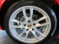 2014 Porsche Cayman Standard Cayman Model Wheel and Tire Photo