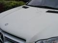 Alabaster White - GL 450 Photo No. 6
