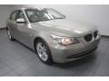 Platinum Bronze Metallic 2010 BMW 5 Series 528i Sedan