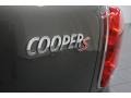 Royal Gray Metallic - Cooper S Countryman Photo No. 31