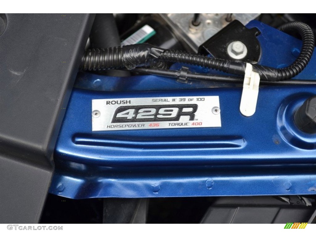 2009 Mustang Roush 429R Coupe - Vista Blue Metallic / Dark Charcoal photo #10