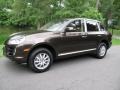 Macadamia Metallic 2010 Porsche Cayenne Tiptronic