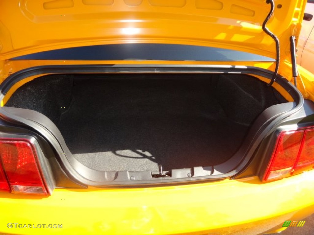 2007 Mustang GT Premium Coupe - Grabber Orange / Dark Charcoal photo #10
