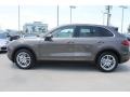 Umber Metallic - Cayenne S Hybrid Photo No. 5