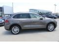 Umber Metallic - Cayenne S Hybrid Photo No. 9