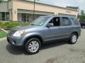 Pewter Pearl - CR-V SE 4WD Photo No. 1