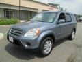 Pewter Pearl - CR-V SE 4WD Photo No. 2