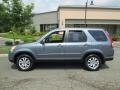 Pewter Pearl - CR-V SE 4WD Photo No. 3