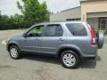 Pewter Pearl - CR-V SE 4WD Photo No. 4