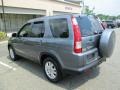 Pewter Pearl - CR-V SE 4WD Photo No. 5