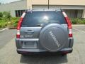 Pewter Pearl - CR-V SE 4WD Photo No. 6