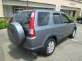 Pewter Pearl - CR-V SE 4WD Photo No. 7