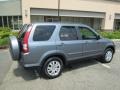 Pewter Pearl - CR-V SE 4WD Photo No. 8