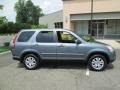 Pewter Pearl - CR-V SE 4WD Photo No. 9
