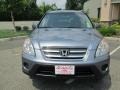 Pewter Pearl - CR-V SE 4WD Photo No. 11