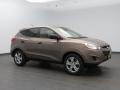 2013 Chai Bronze Hyundai Tucson GL  photo #1