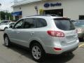 Radiant Silver - Santa Fe SE 4WD Photo No. 6