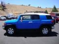 2009 Voodoo Blue Toyota FJ Cruiser   photo #4