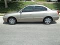 2006 Champagne Beige Hyundai Elantra GLS Sedan  photo #3