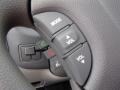 Gray Controls Photo for 2014 Kia Sedona #82827104