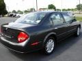 Gray Lustre Metallic - Maxima SE Photo No. 7