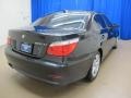 2008 Black Sapphire Metallic BMW 5 Series 528xi Sedan  photo #9