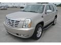 Quicksilver - Escalade AWD Photo No. 2