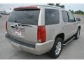 Quicksilver - Escalade AWD Photo No. 5