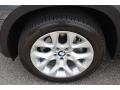 Platinum Gray Metallic - X5 xDrive 35i Photo No. 34