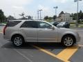 Gold Mist - SRX 4 V6 AWD Photo No. 4