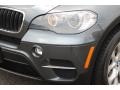Platinum Gray Metallic - X5 xDrive 35i Photo No. 32