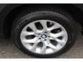 Platinum Gray Metallic - X5 xDrive 35i Photo No. 34