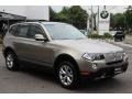 2010 Platinum Bronze Metallic BMW X3 xDrive30i  photo #3