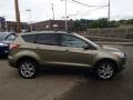 2013 Ginger Ale Metallic Ford Escape SEL 1.6L EcoBoost 4WD  photo #1