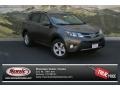 2013 Pyrite Mica Toyota RAV4 XLE AWD  photo #1