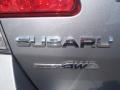 Steel Silver Metallic - Legacy 2.5i Premium Photo No. 6
