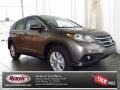 2013 Urban Titanium Metallic Honda CR-V EX  photo #1