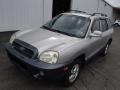 2003 Pewter Hyundai Santa Fe GLS 4WD  photo #2