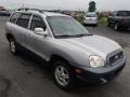 2003 Pewter Hyundai Santa Fe GLS 4WD  photo #4