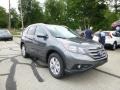 Polished Metal Metallic - CR-V EX-L AWD Photo No. 1