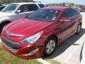 Venetian Red Pearl - Sonata Hybrid Photo No. 1